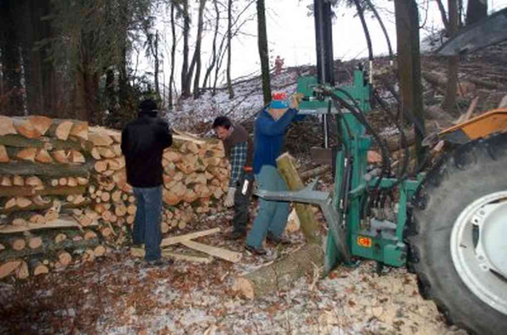 Waldarbeit