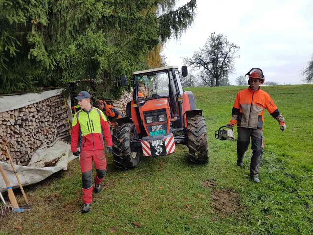 Waldarbeiten