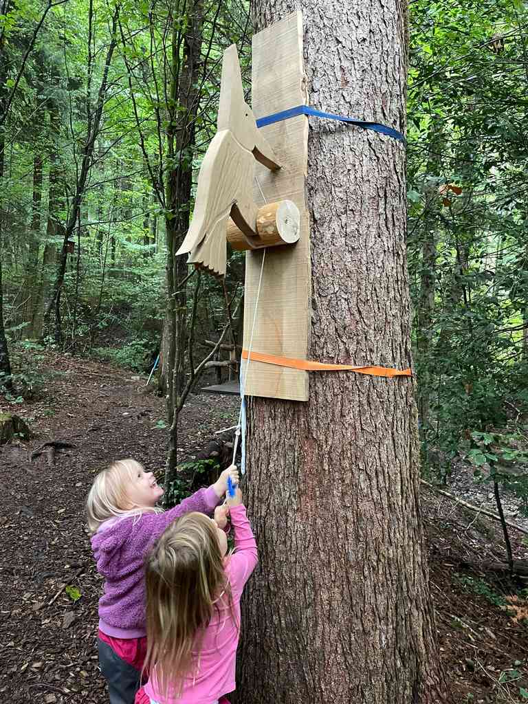 Familien-Waldtag 2024