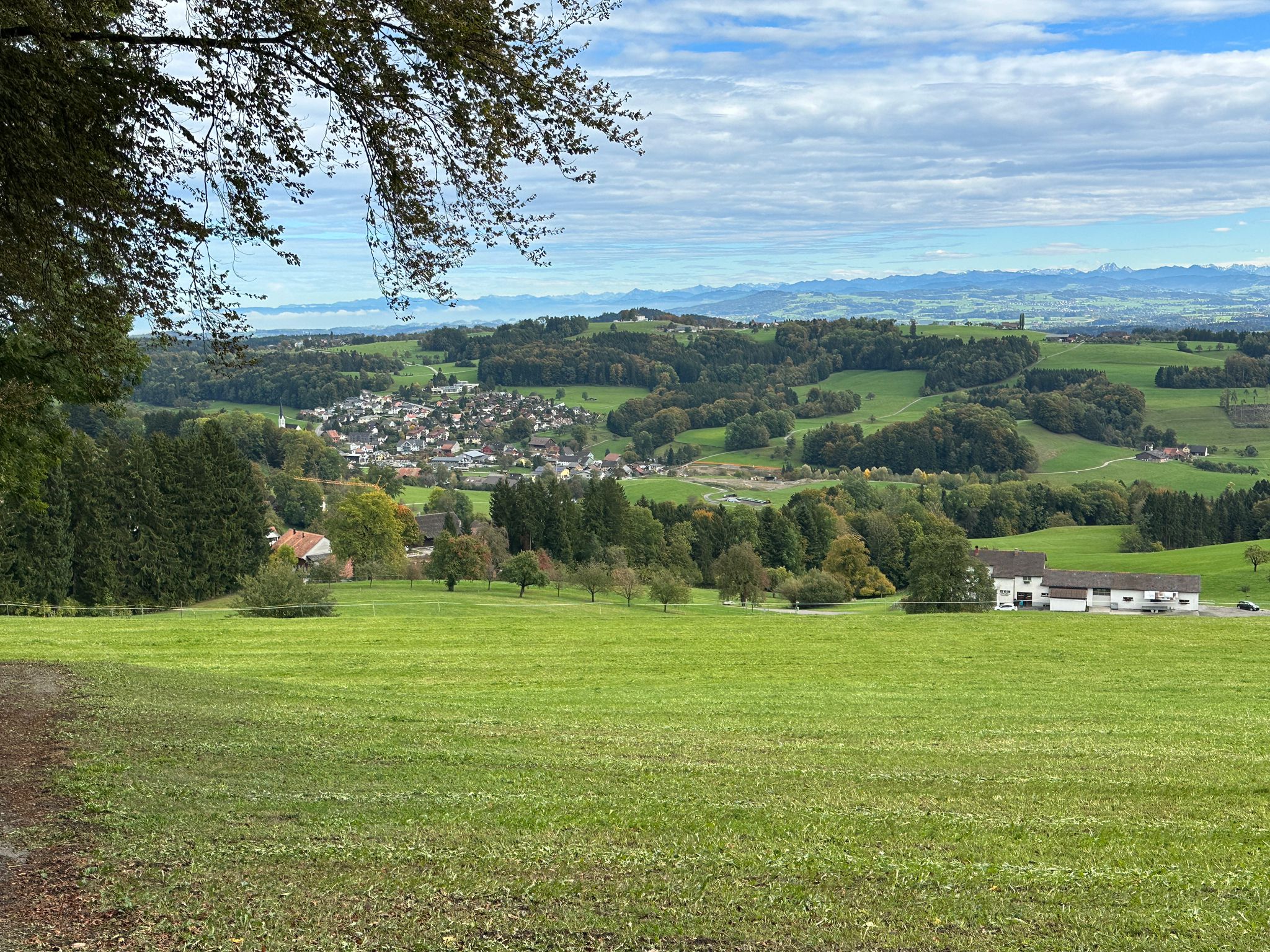 Waldverein Wuppenau
